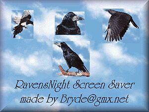 RavensNight Screen Saver